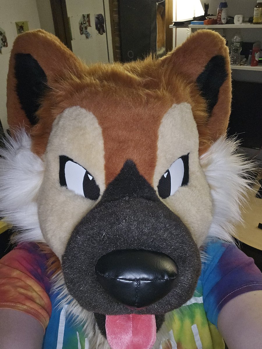 MiloGShep's tweet photo. Guess im shorter then more then I thought x3 https://t.co/57Pm9LTk5k