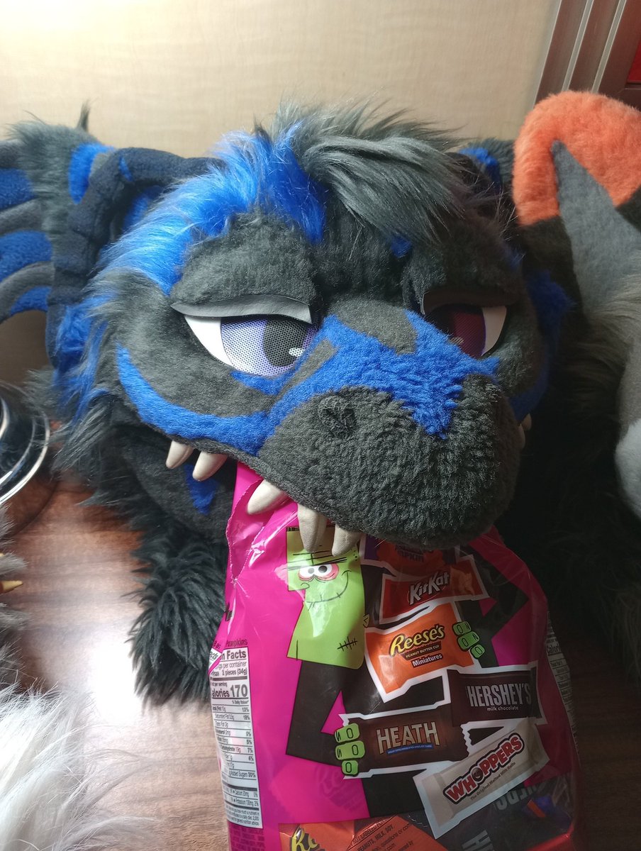 It's Saturday at Furpocalypse and I've already eaten all the Halloween candy.