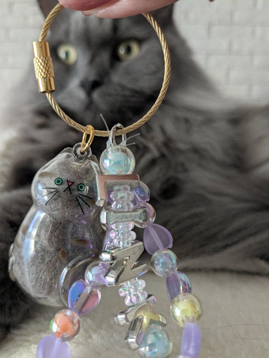 link820__'s tweet photo. うちの子のけだまだま🐈‍⬛

#サイベリアン #猫 https://t.co/AJmodkiHE7