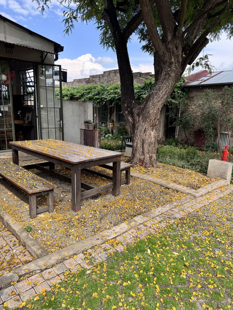 motsomokgoko's tweet image. We outside