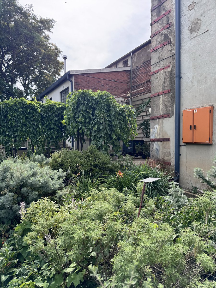 motsomokgoko's tweet image. We outside