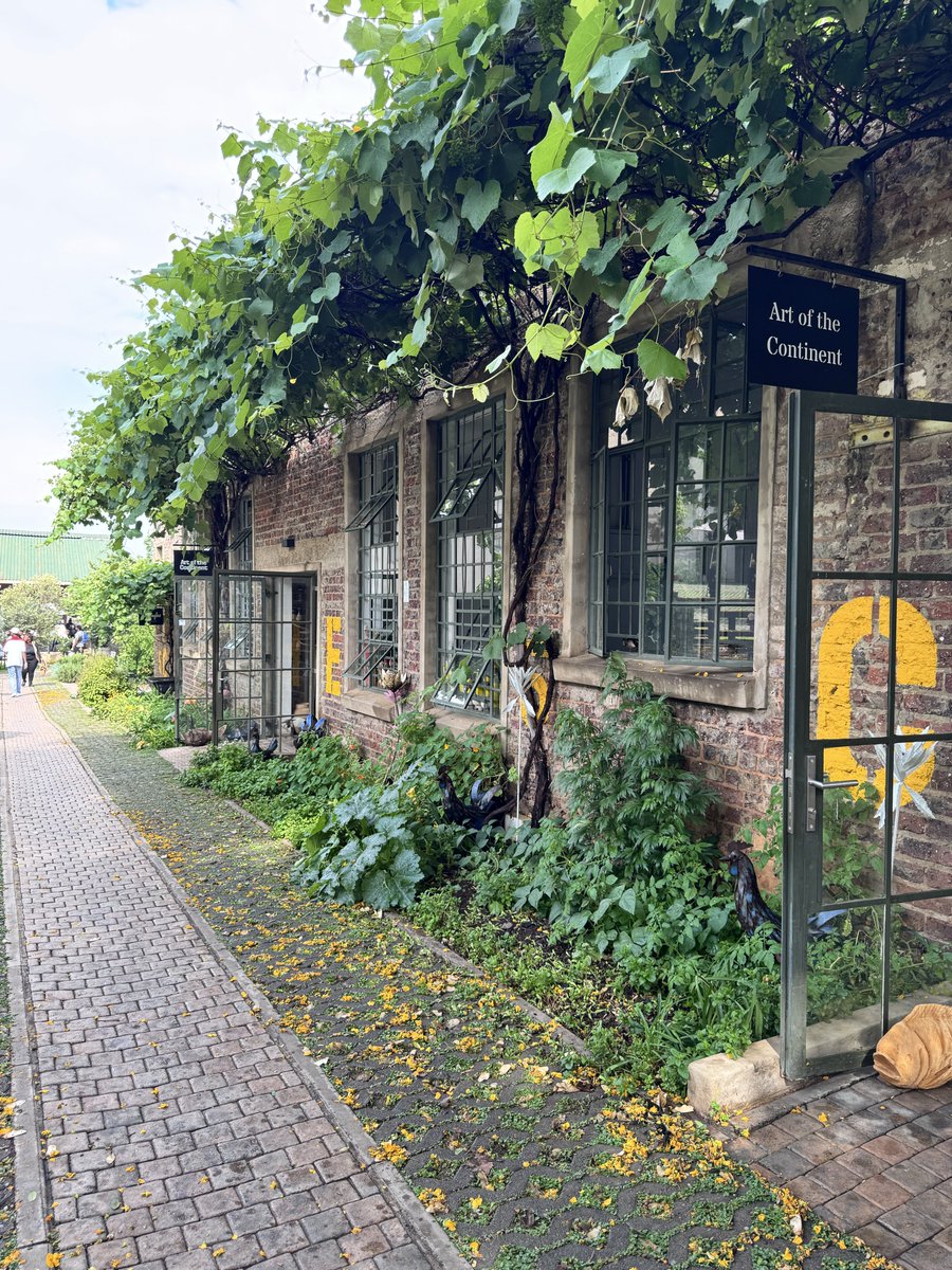 motsomokgoko's tweet image. We outside