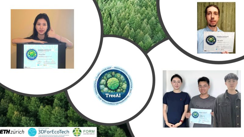 Mirela Beloiu Schwenke tweet media