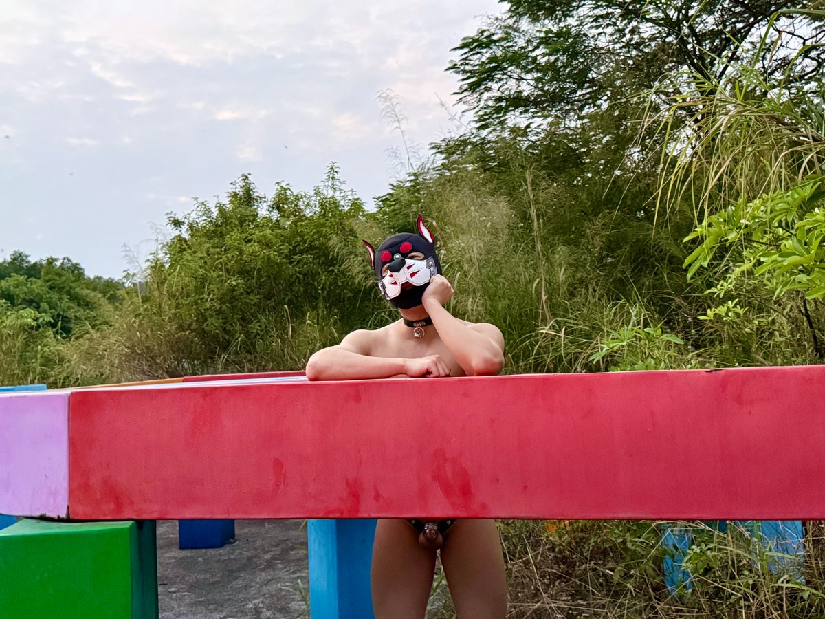 废弃游乐园の迎宾小狗（2）
表面很乖，私底下另一面很乖