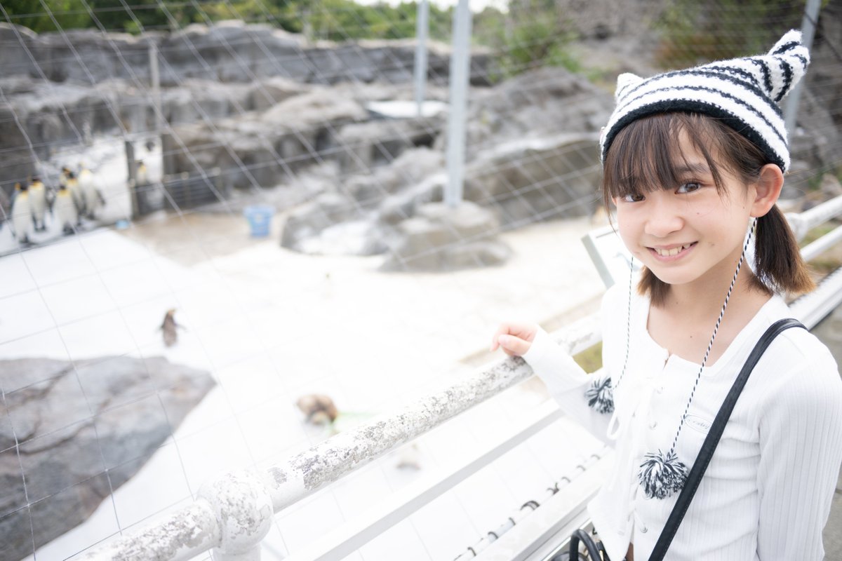 226　とらちゃん とらちゃん on X