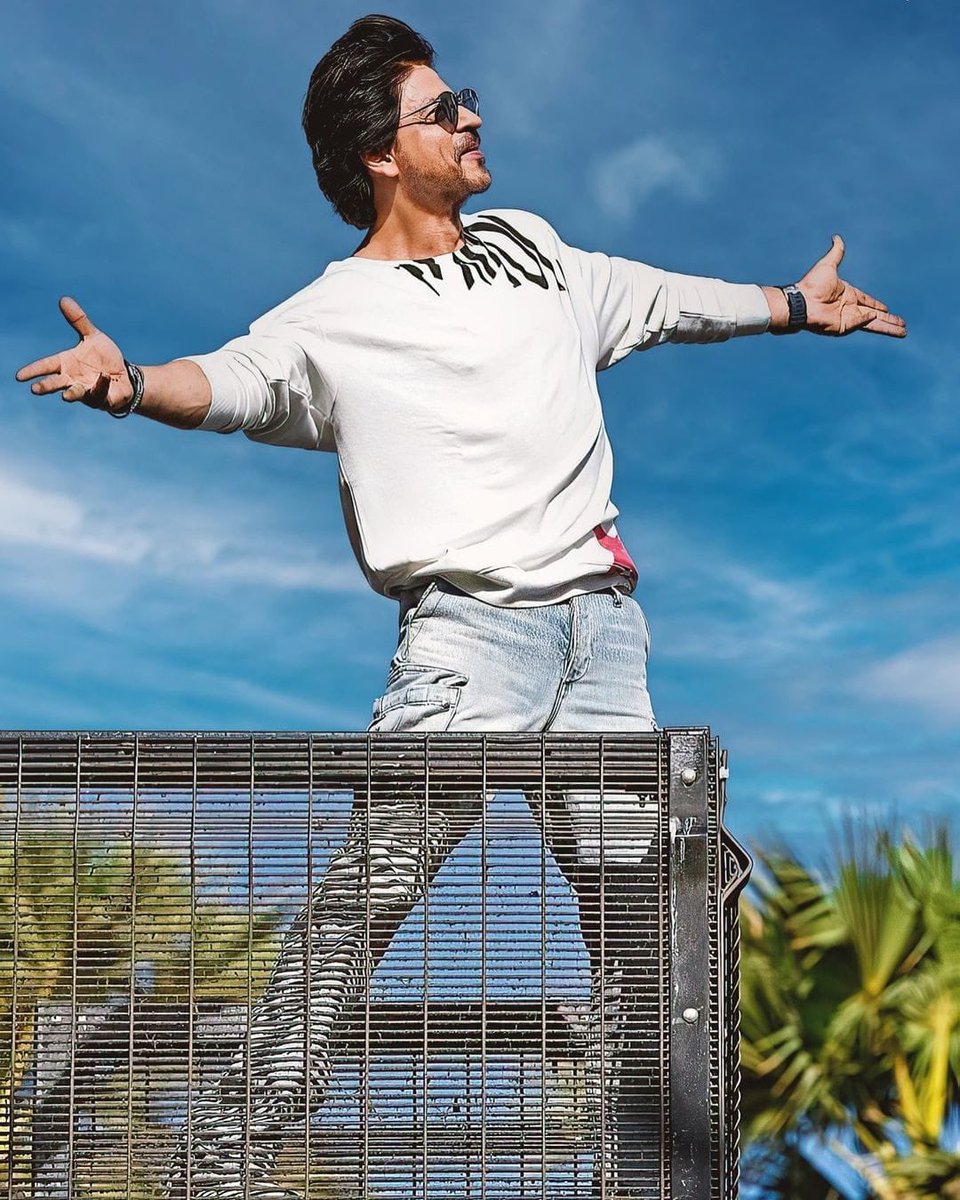 LetsXOtt's tweet photo. Advance Happy Birthday to The King of Indian Cinema — @iamsrk .

#HappyBirthdaySRK https://t.co/idCXOydknw