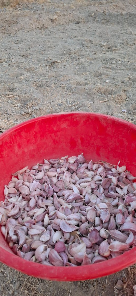 الشباب في الكافيهات وأنا هنا 😂😂😂