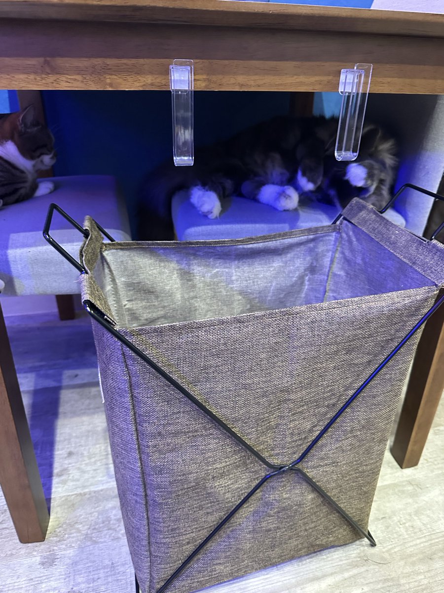 確認ପ(⑅ˊᵕˋ⑅)ଓ白仕切りなし(中)♡オーダー受け付け シコラズ・ケイジ on X