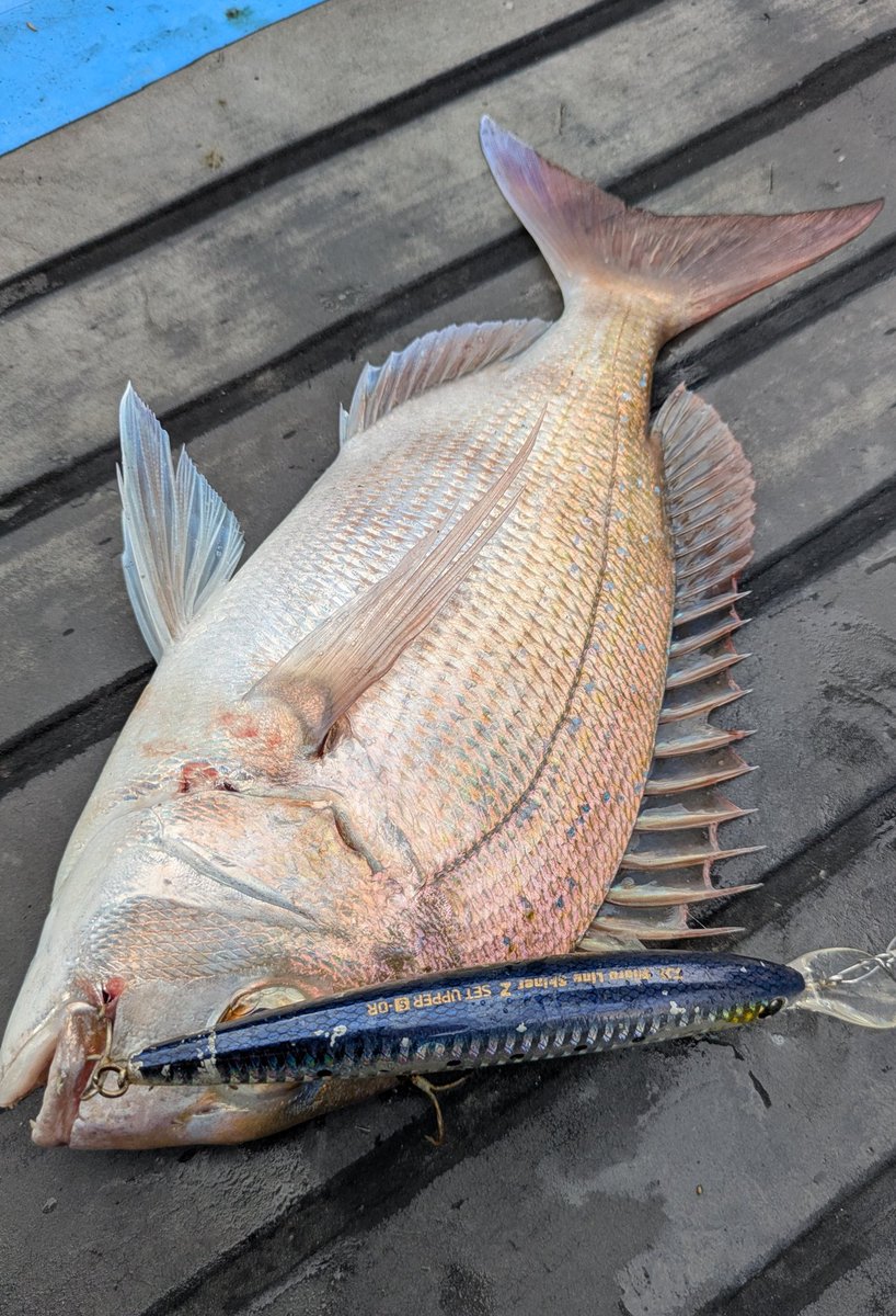 銅製:岩上鯛釣恵比寿 銅製:岩上鯛釣恵比寿 黒鯛師 THEヘチ Selection