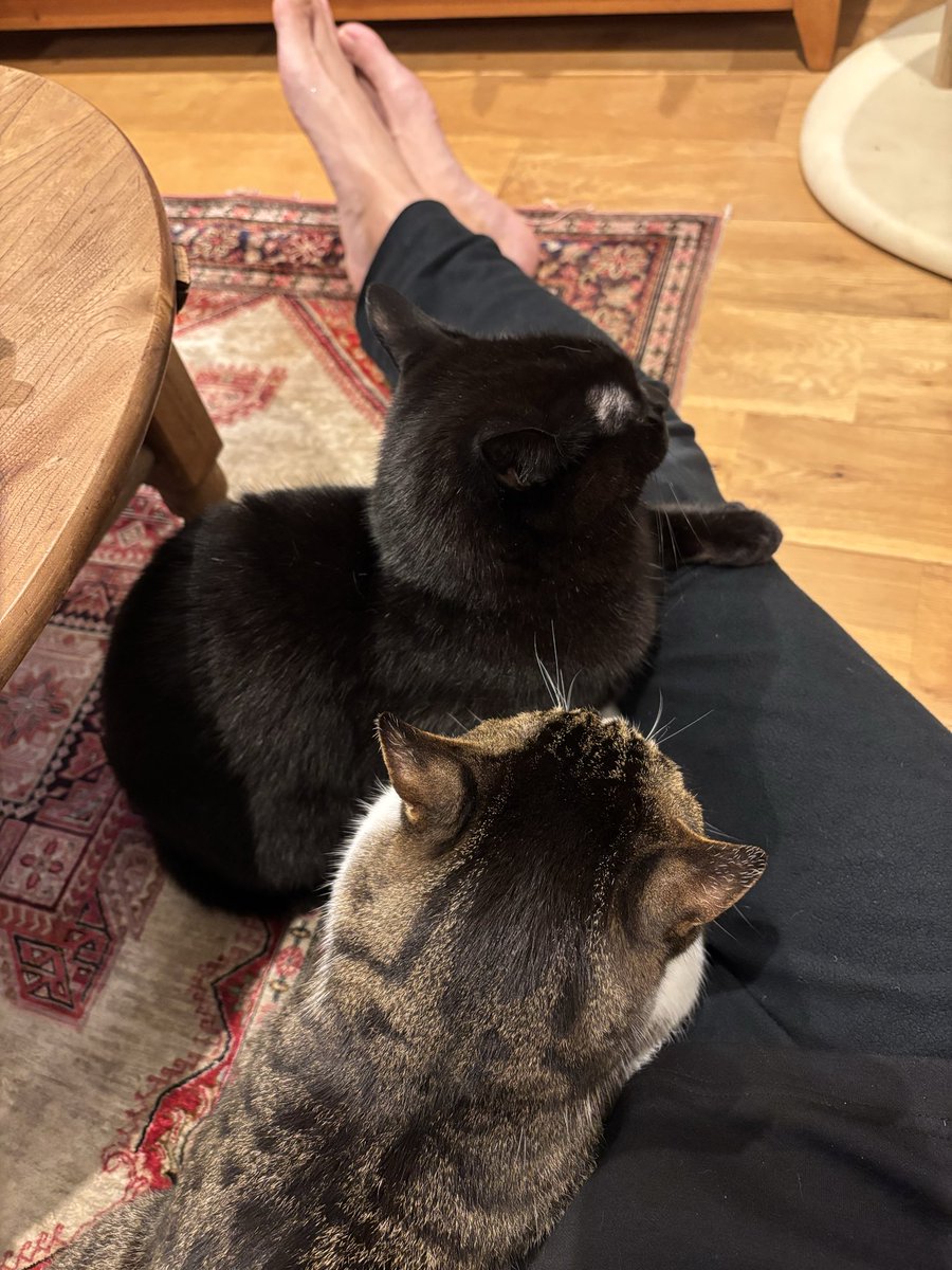 daisuke shindou (@bass_daisuke) / Posts / X