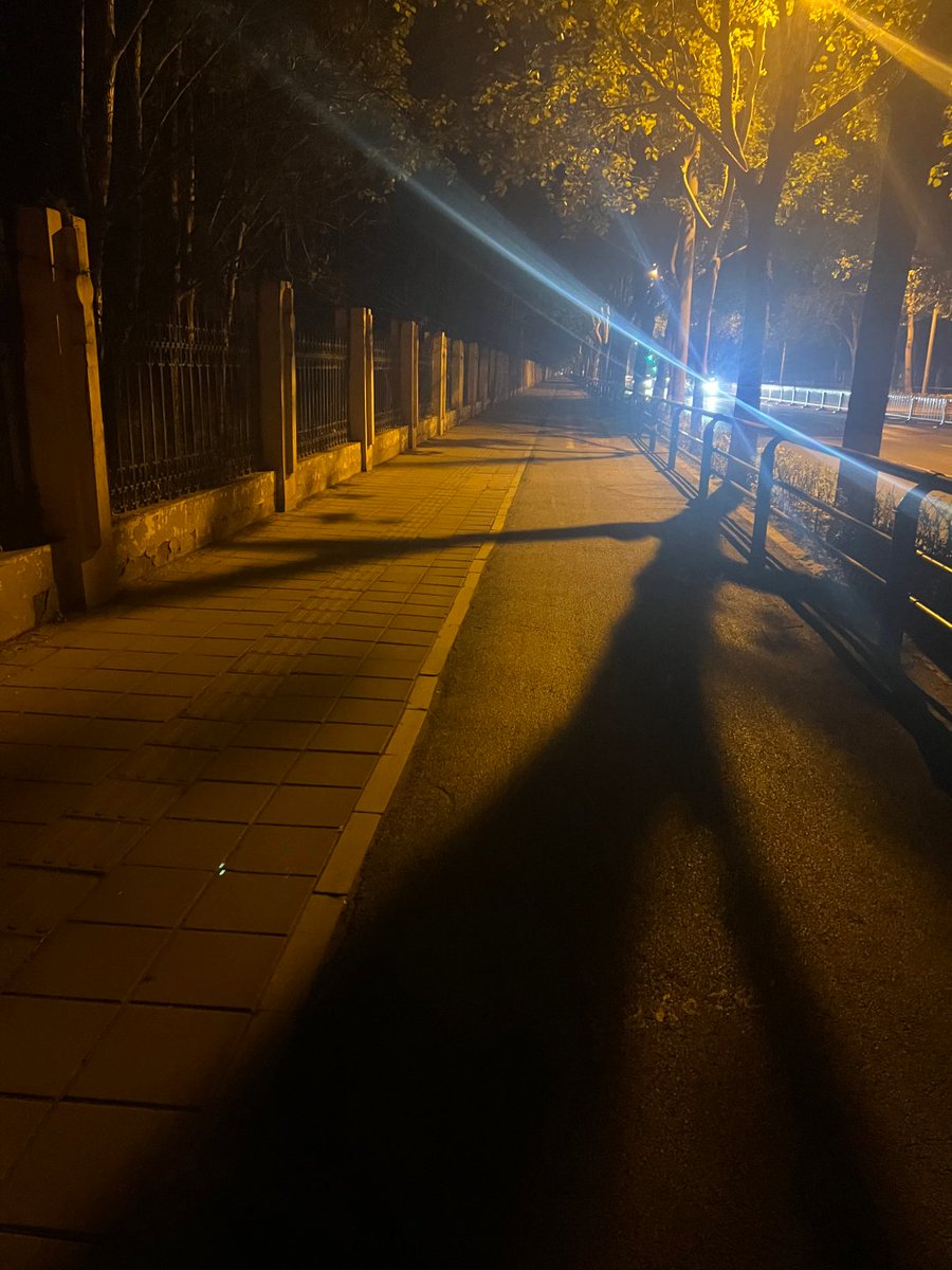 Joncodards's tweet image. 誰もいない道に、自分の足音だけが響く。