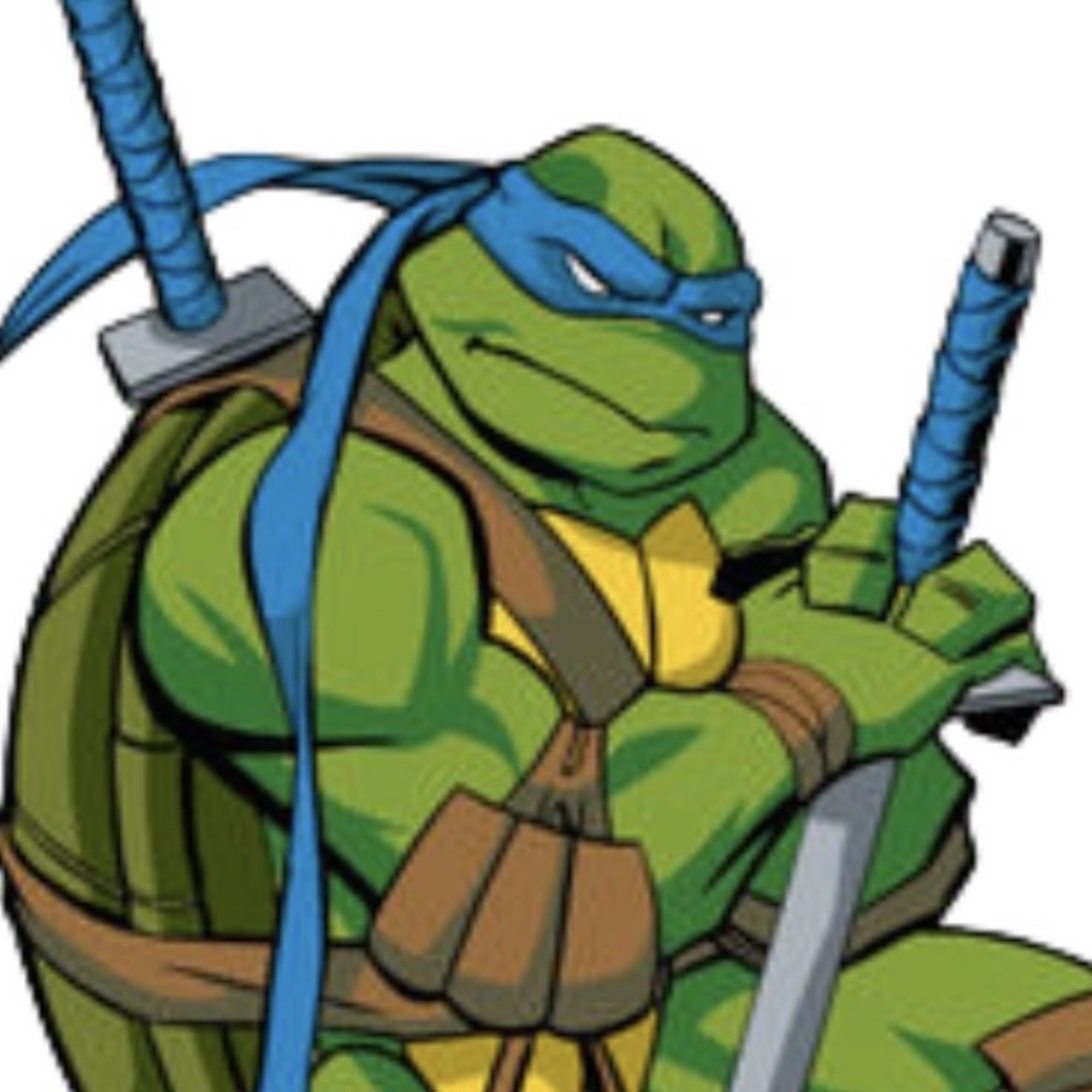 Fanta5ma5's tweet photo. Leonardo (TMNT 2003)
vs
Leonardo (TMNT 2012) https://t.co/CbIU3mCpDF