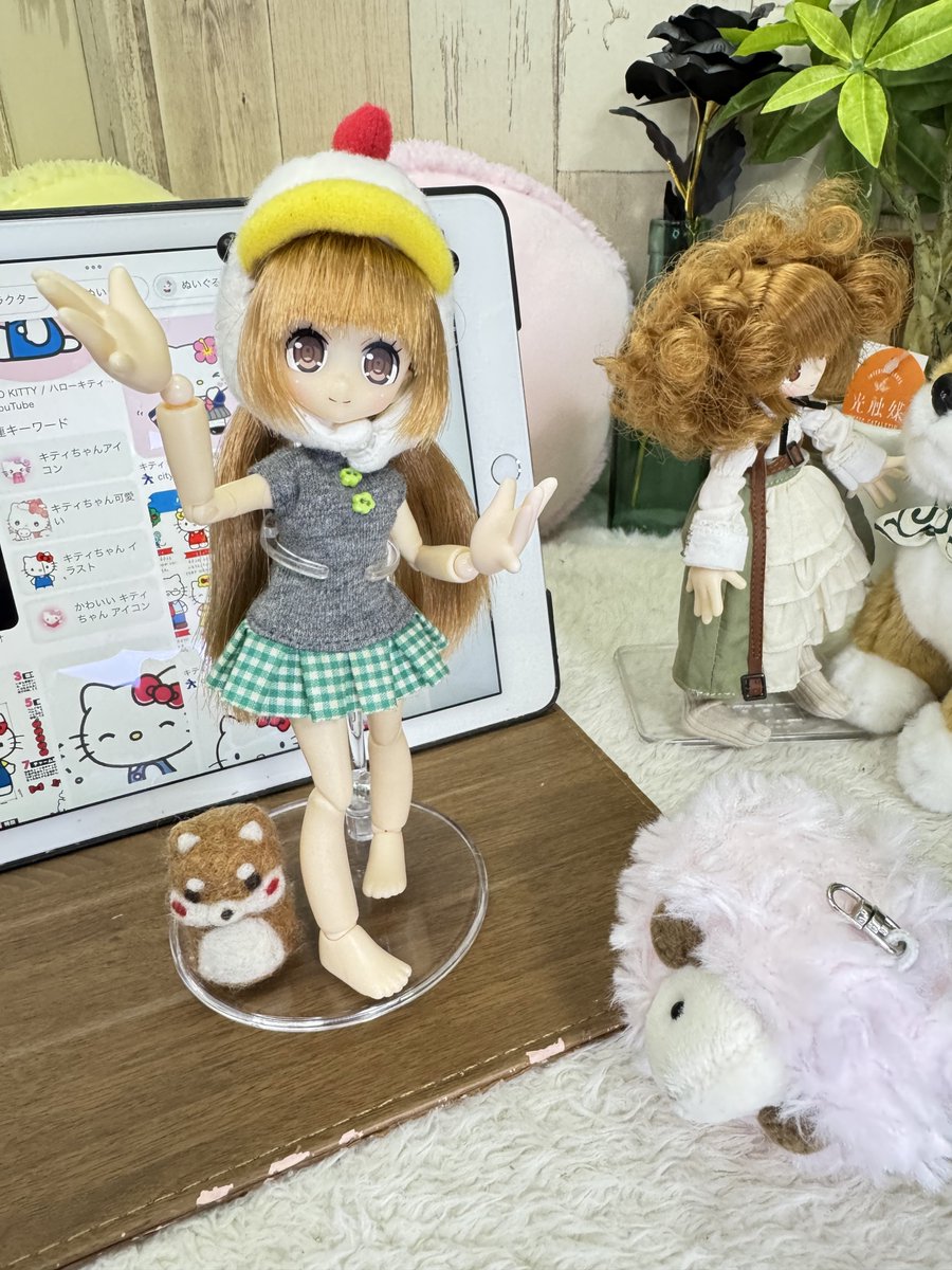 くまきち (@bearbeartyan) / Posts / X