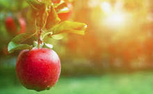 Mark Stuberg tweet media