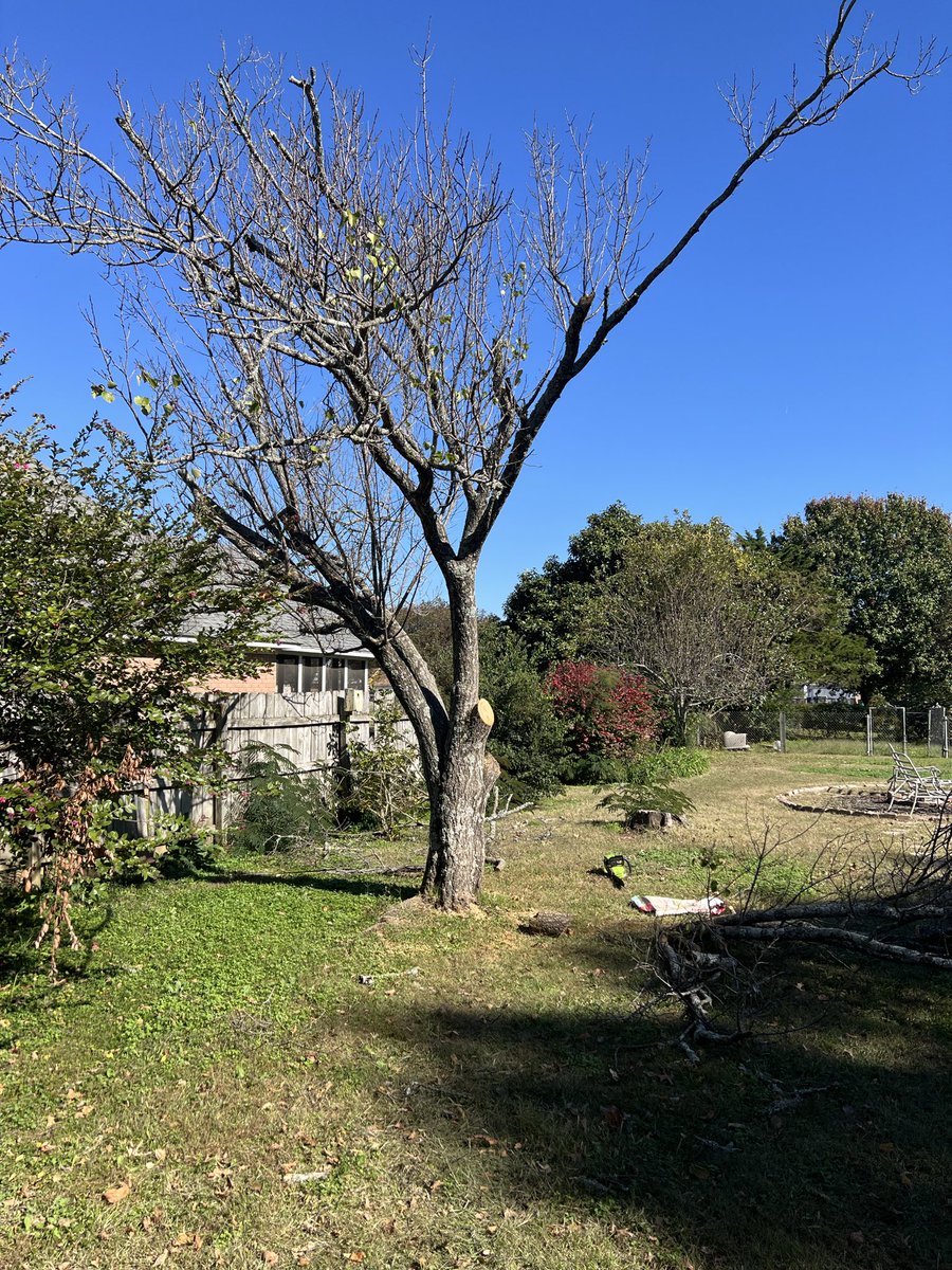 Josh Holderby tweet media