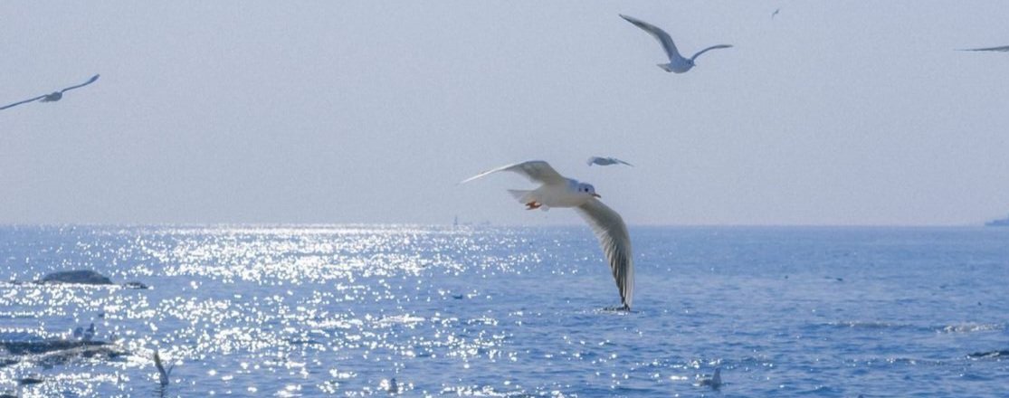 aesthetics (@aesthetics_40) on Twitter photo 