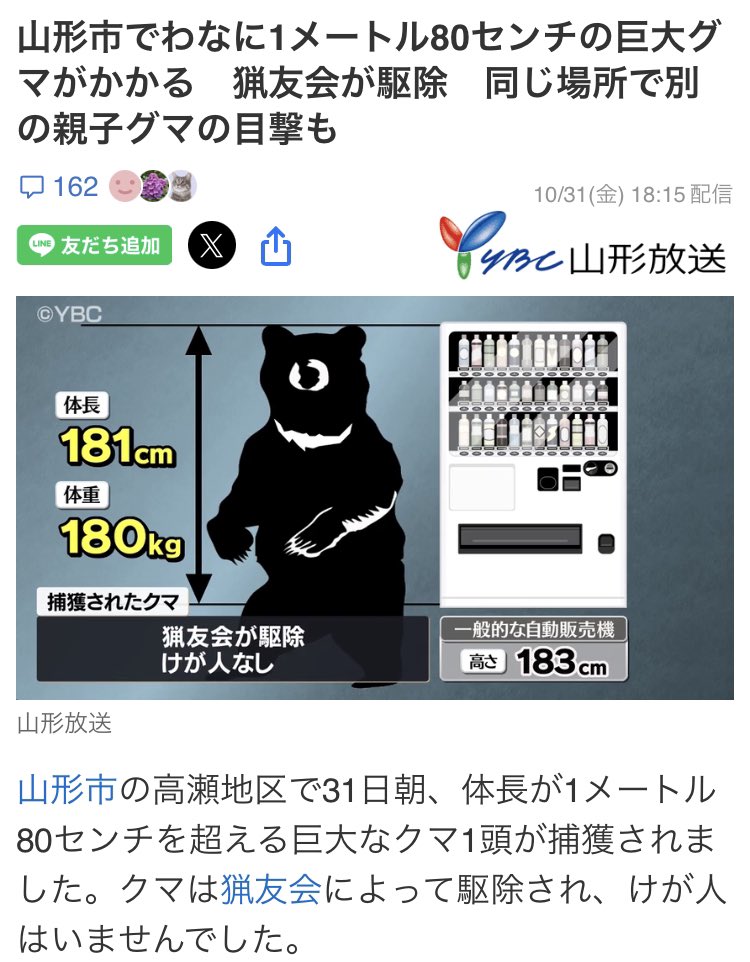 コ熊‼️ T on X