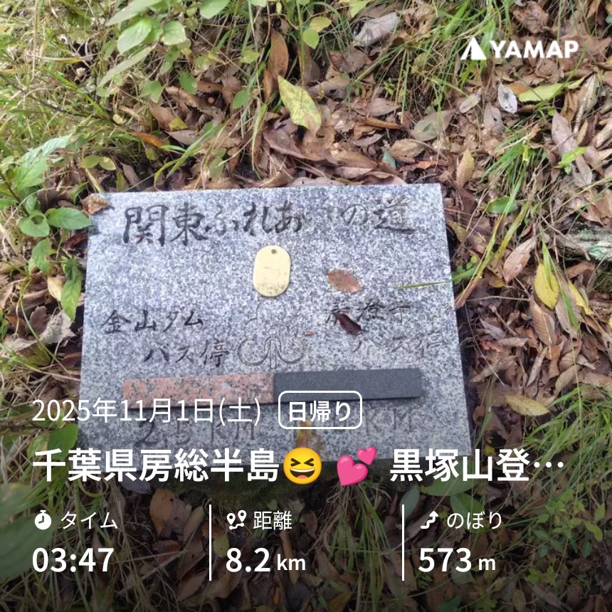 ミサちゃん on X