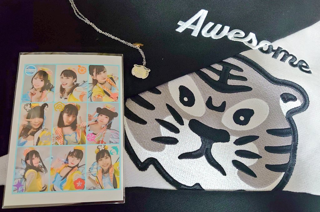 以前、ほなめんさんから「#あくとらちゃん もトラ🐯だよ」と伺ったので昨日届いたばかりの🐯パーカーで臨みました
もしかしたらラスト🐯になるかもしれない
グラニフさん、またオーサムタイガーを出してほしい…
