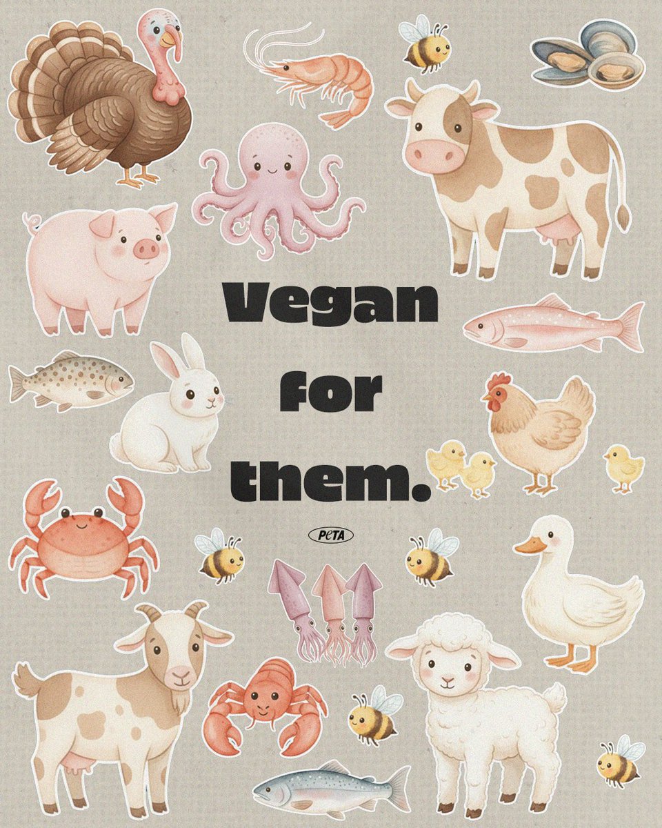 Every choice matters. Every life counts. There are so many reasons to go vegan💫 #WorldVeganDay