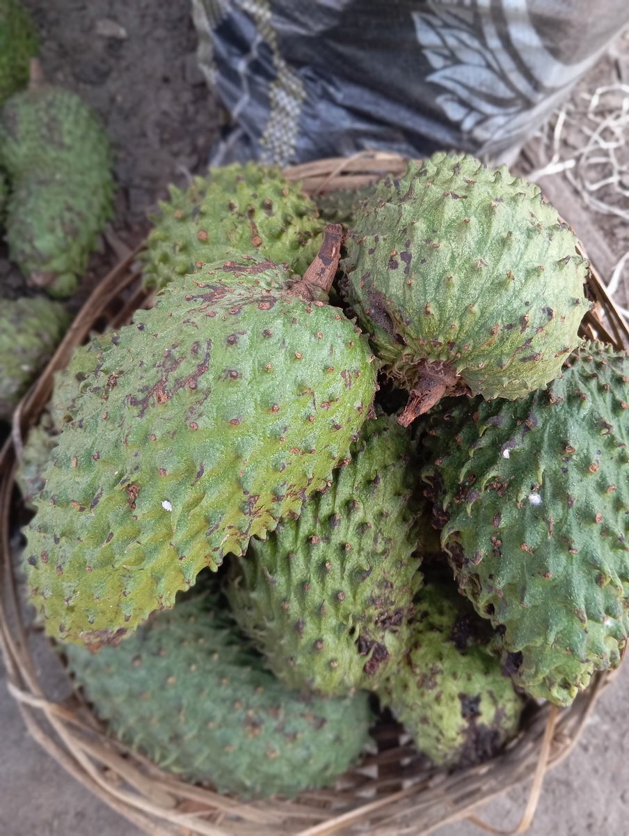 First Saturday Market day.
What are you buying? 
🧵