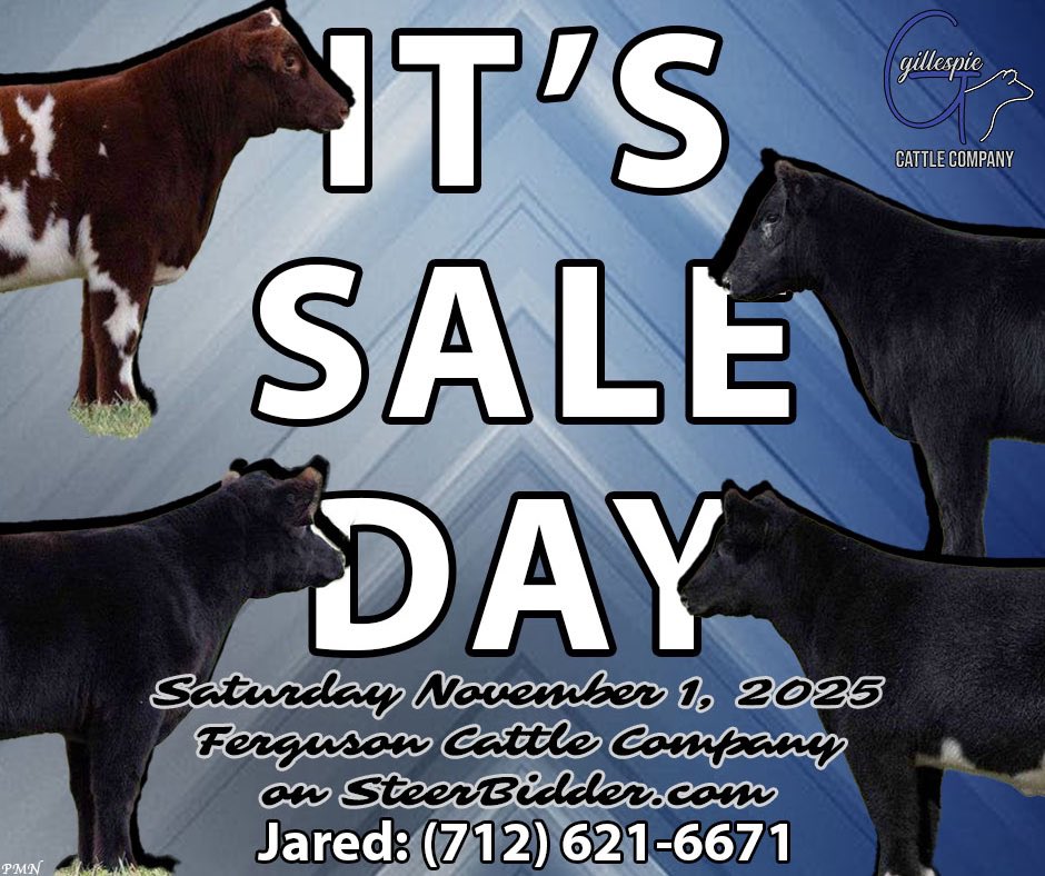 ‼️IT’S SALE DAY + BIDDING IS OPEN‼️

🔗 steerbidder.auctioneersoftware.com/auctions/10851
☎️Jared: (712) 621-6671