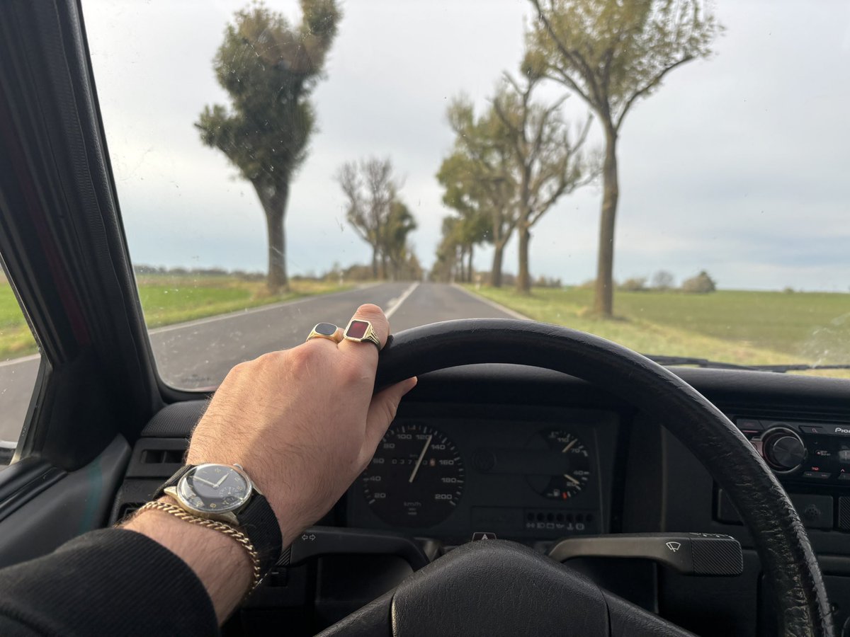 This dawg is heading out for a bit of Berlin-ing 💅🏻