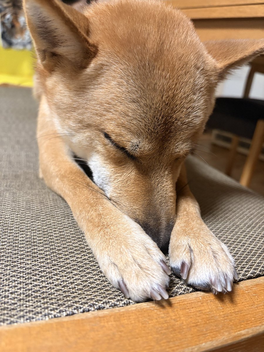 金金兄弟【金太郎and金次郎】 (@kintaro_kinjiro) / Posts / X