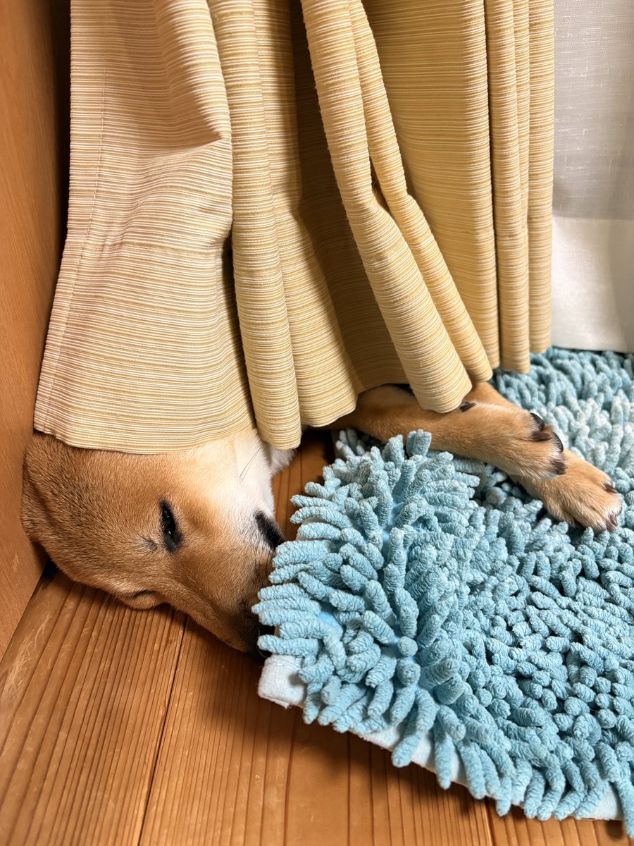 金金兄弟【金太郎and金次郎】 (@kintaro_kinjiro) / Posts / X