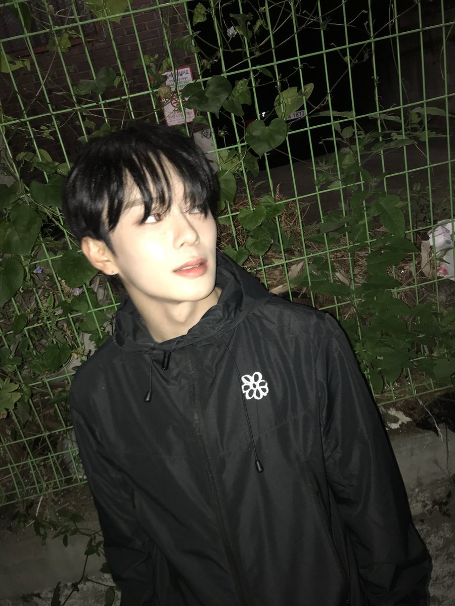 VERIVERY tweet media