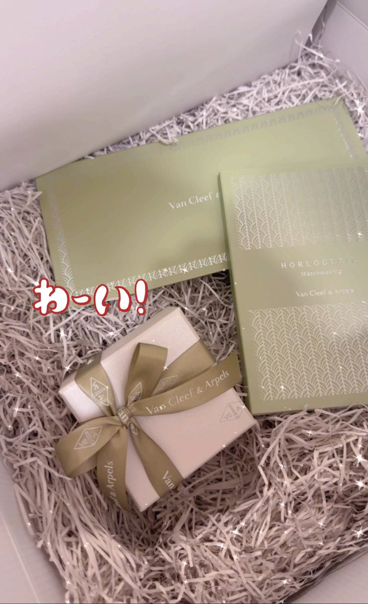 meeeeee0808's tweet photo. 両親からのお誕生日プレゼント届いた嬉しい、、、ラッキースプリングのピアス！
ヴァンクリは繊細で美しい😭✨ https://t.co/5DsmQnmzMw