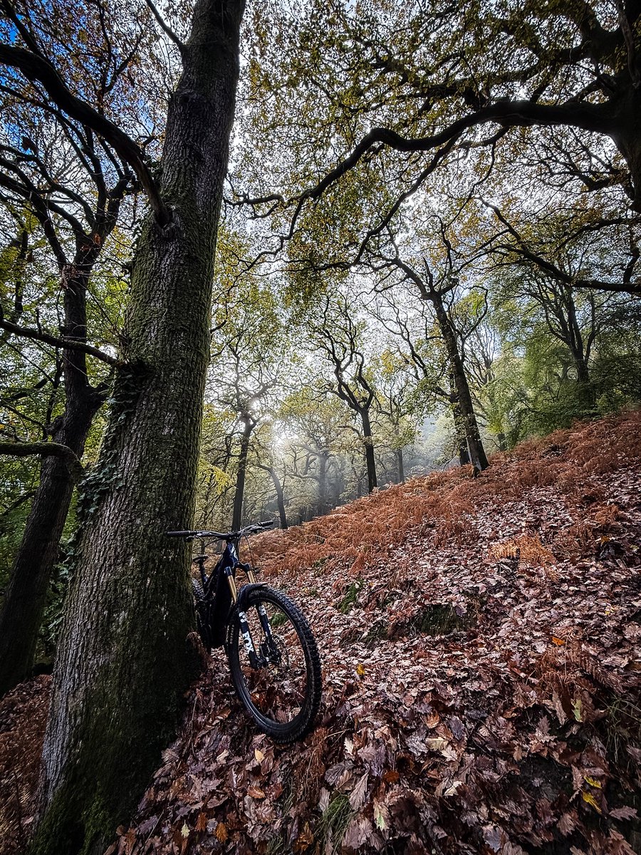 Tell me it’s autumn without telling me it’s autumn 🍂