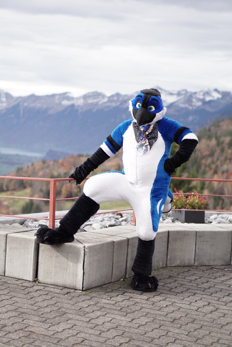 Posing like a good Bird I am! Chirp