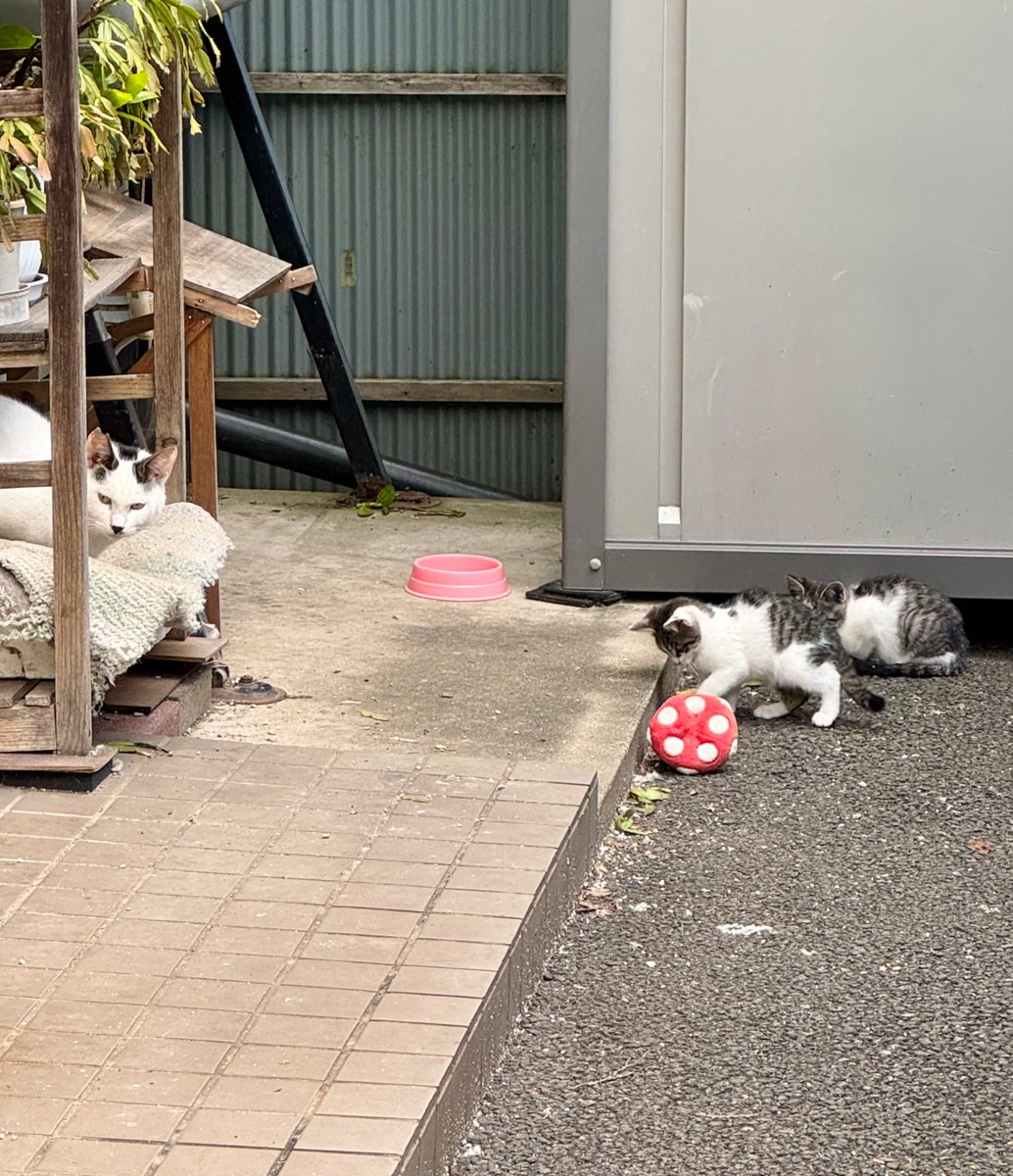 NonSmokingRider加藤 on X