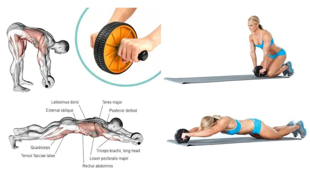 FitFunFusion's tweet image. AB Wheel Rollout – How to Perform and its Benefits.
A Comprehensive Guide to Mastering the AB Wheel Rollout Exercise. fitfunfusion.com/ab-wheel-rollo… #ABWheelWorkout, #AbdominalMuscleExercises, #CoreExercises