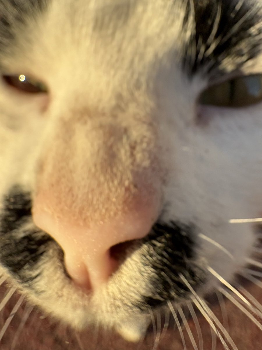 Ruslan Ablyakimov tweet media