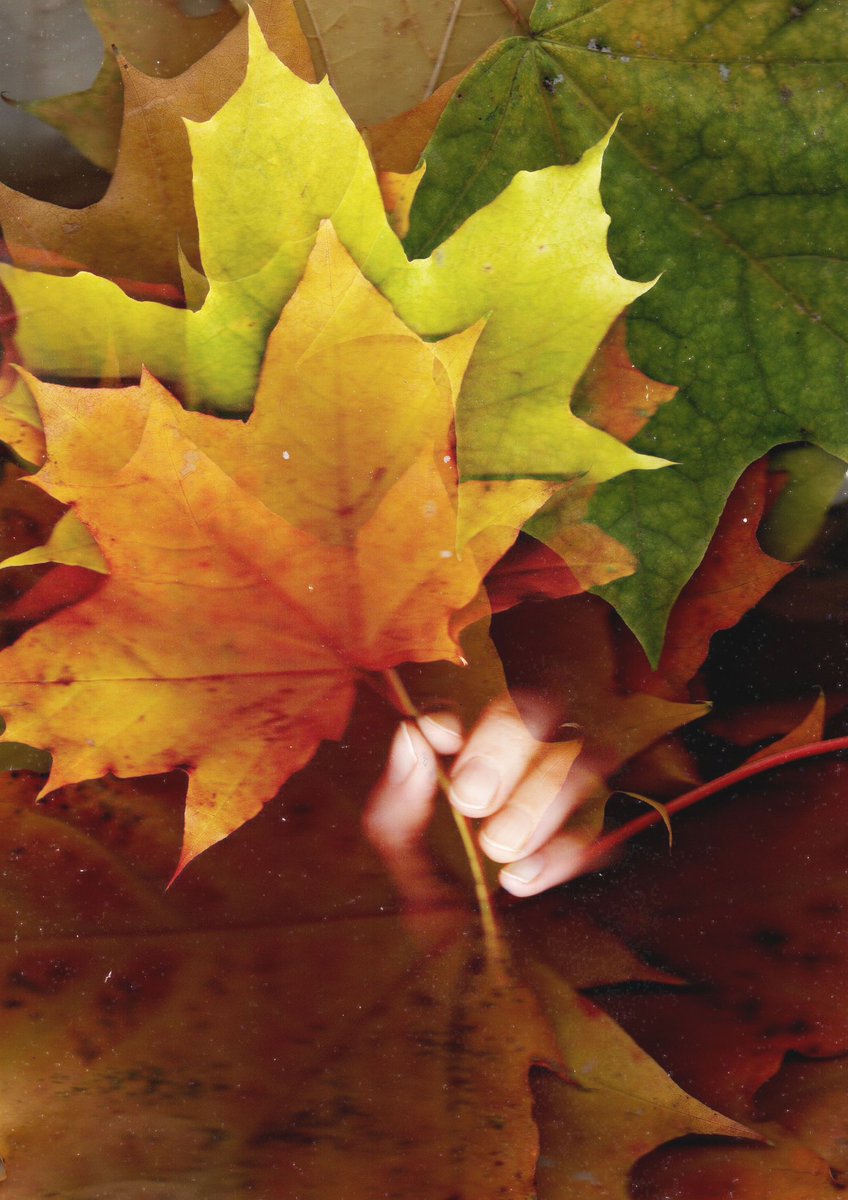 BezymnaN's tweet photo. Hi! New mint  «Take autumn» https://t.co/v9o8zQA6Z7
2$XTZ @objktcom  #tezos #objkt https://t.co/ub4raGMSCG