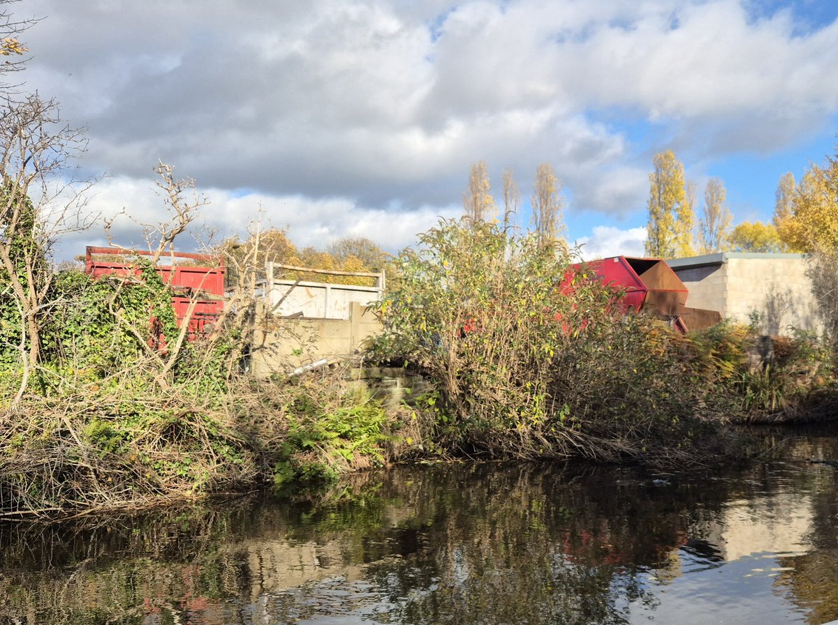 Good Towpath Taskforce session today out on the pontoon clearing isolated pockets of offside buddleia and making a start on tackling the last major outcrop of this invasive plant. Thanks to Gill, Ken, Neville and Paul for all their hard work. <a href="/CRTYorkshireNE/">Canal & River Trust - Yorkshire & North East</a> <a href="/CanalRiverTrust/">Canal & River Trust</a>