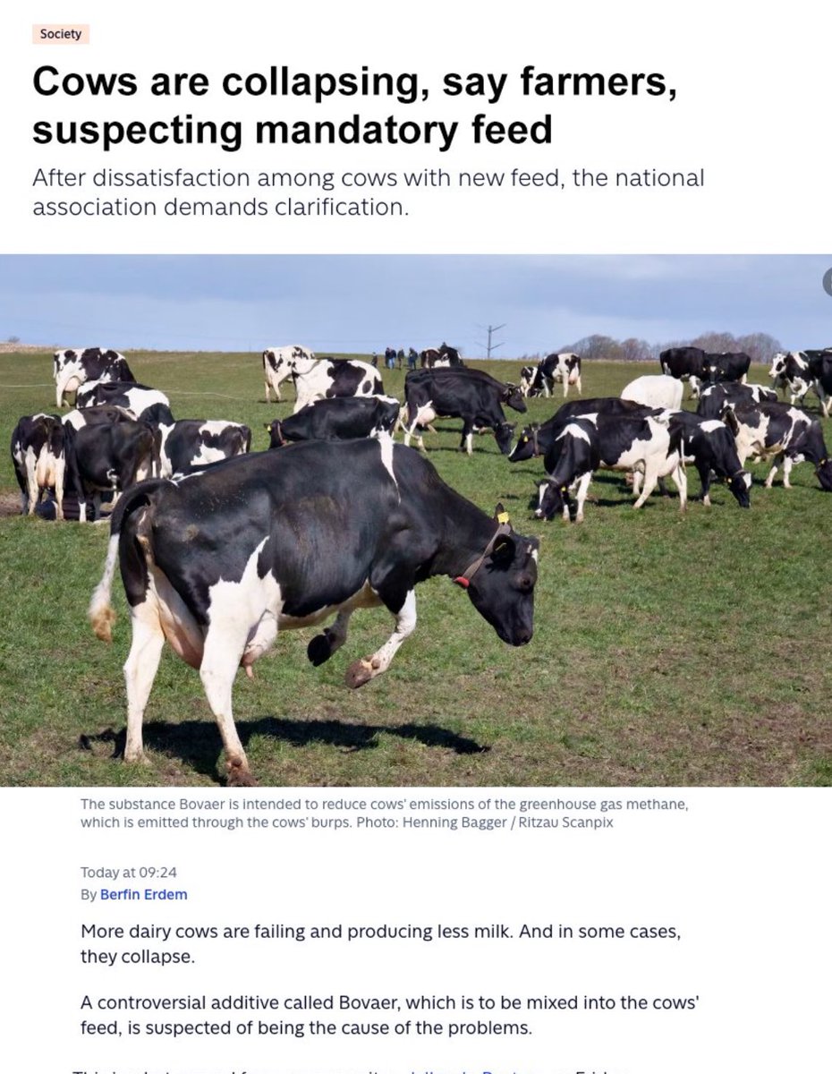 BGatesIsaPyscho's tweet image. 🚨 “Cows are collapsing say Farmers”
“You can either Fix the Cows or make Beef without the Cow” - Bill Gates
Who saw this coming? Cows are getting sick & dying after been fed Bill Gates Bovaer Feed - this same feed is of course getting into you Milk & Meat.