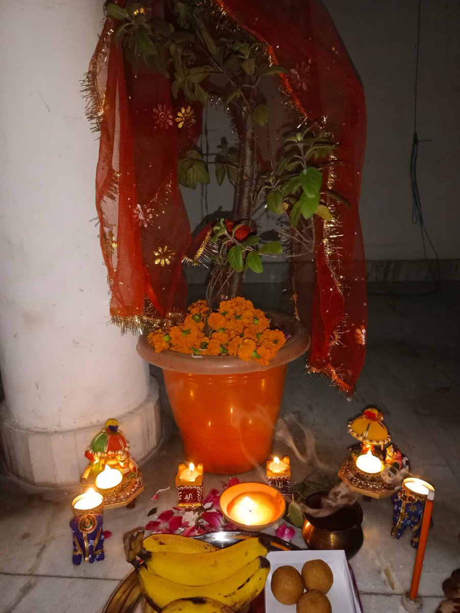 akshtanilabh's tweet image. उत्तिष्ठो उत्तिष्ठ गोविंदो, उत्तिष्ठो गरुणध्वज।
उत्तिष्ठो कमलाकांत, जगताम मंगलम कुरु॥
महाप्रसाद जननी,सर्व सौभाग्यवर्धिनी
आधि व्याधि हरा नित्यं,तुलसी त्वं नमोस्तुते।।
🪷देवउठनी एकादशी🪷एवं🌷तुलसी विवाह🌷की हार्दिक मंगलकामनाएं 🙏 💫
#देवउठनी_एकादशी
#तुलसीविवाह