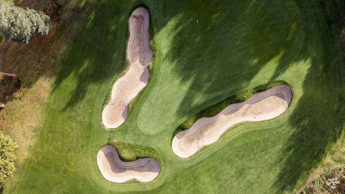 Fried Egg Golf tweet media