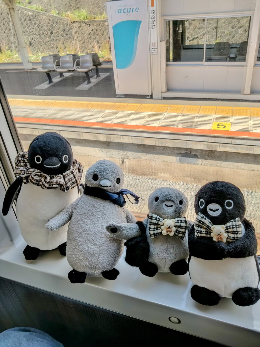 みみずく (@penpen_mimizuk) / Posts / X