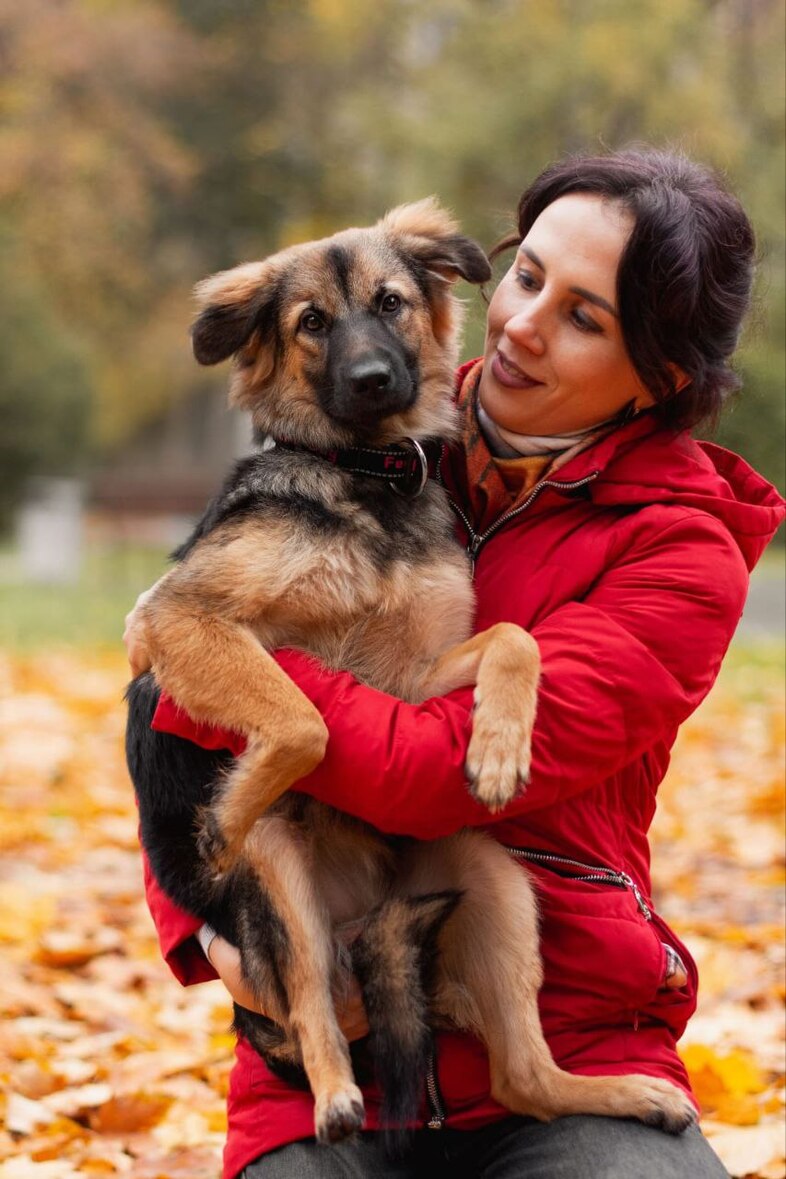 #Москва и МО
🍁❤ Соня в поисках семьи. 🏡 🐕
Сонечки могло бы и не быть вовсе.. 💔 это история, маленького ребенка, которому всего лишь 6 месяцев, а она уже пережила личную трагедию.
Ее мамочку нашли на улице, дрожащую от холода и просящую о помощи.