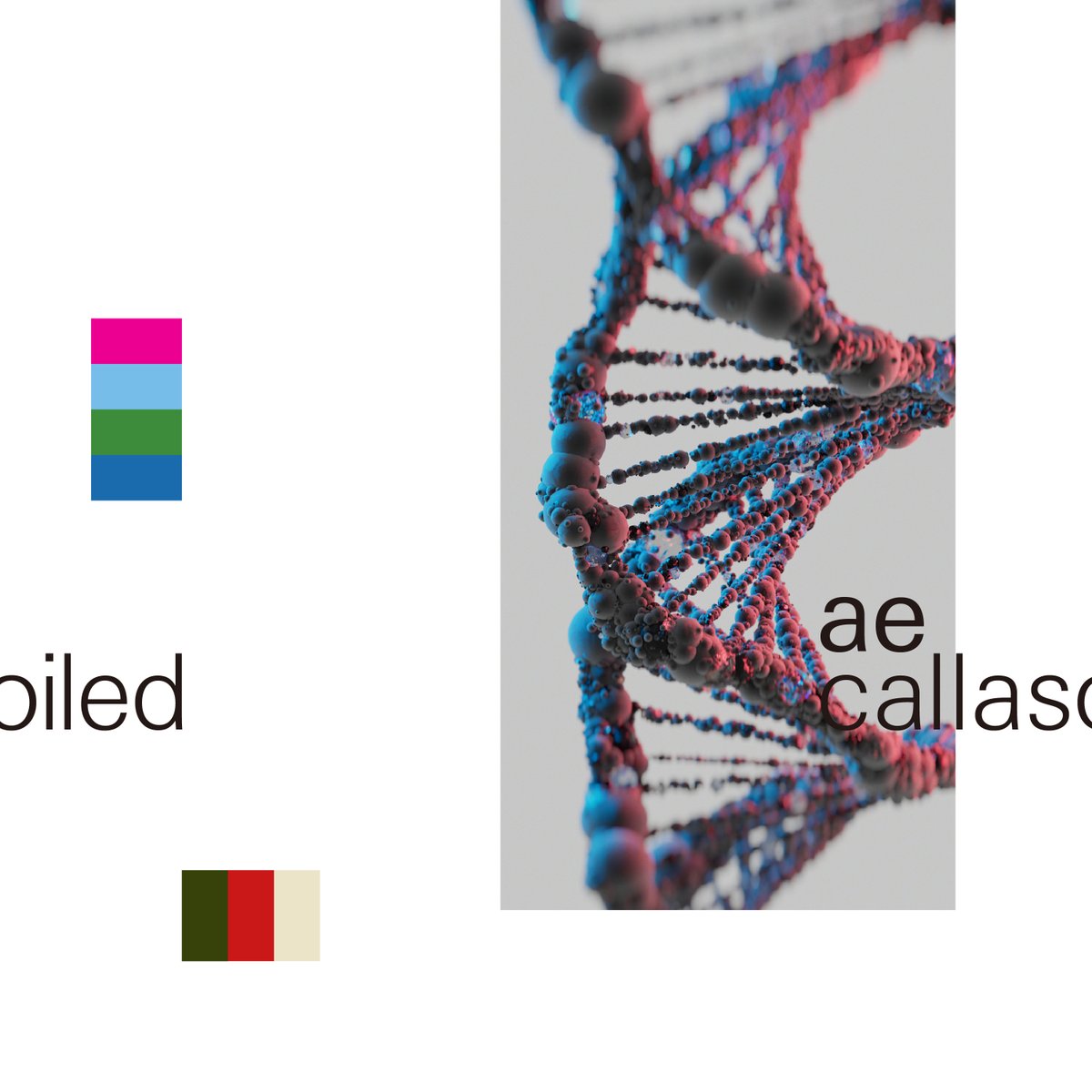 #IOR1101 お疲れ様でした！
という事で、今回ライブで演奏した「ae」というアルバムをリリースしました。
良かったら聴いてください！
callasoiled.bandcamp.com/album/ae