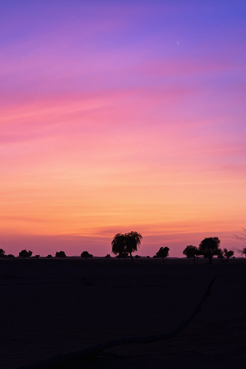 “الحياة مرآة، تريك ما أنت عليه.”