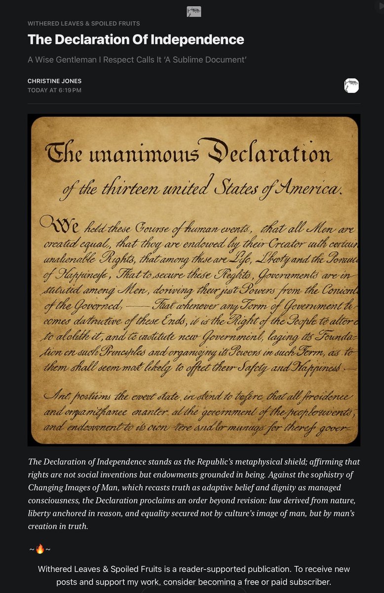 open.substack.com/pub/thepalmerw…