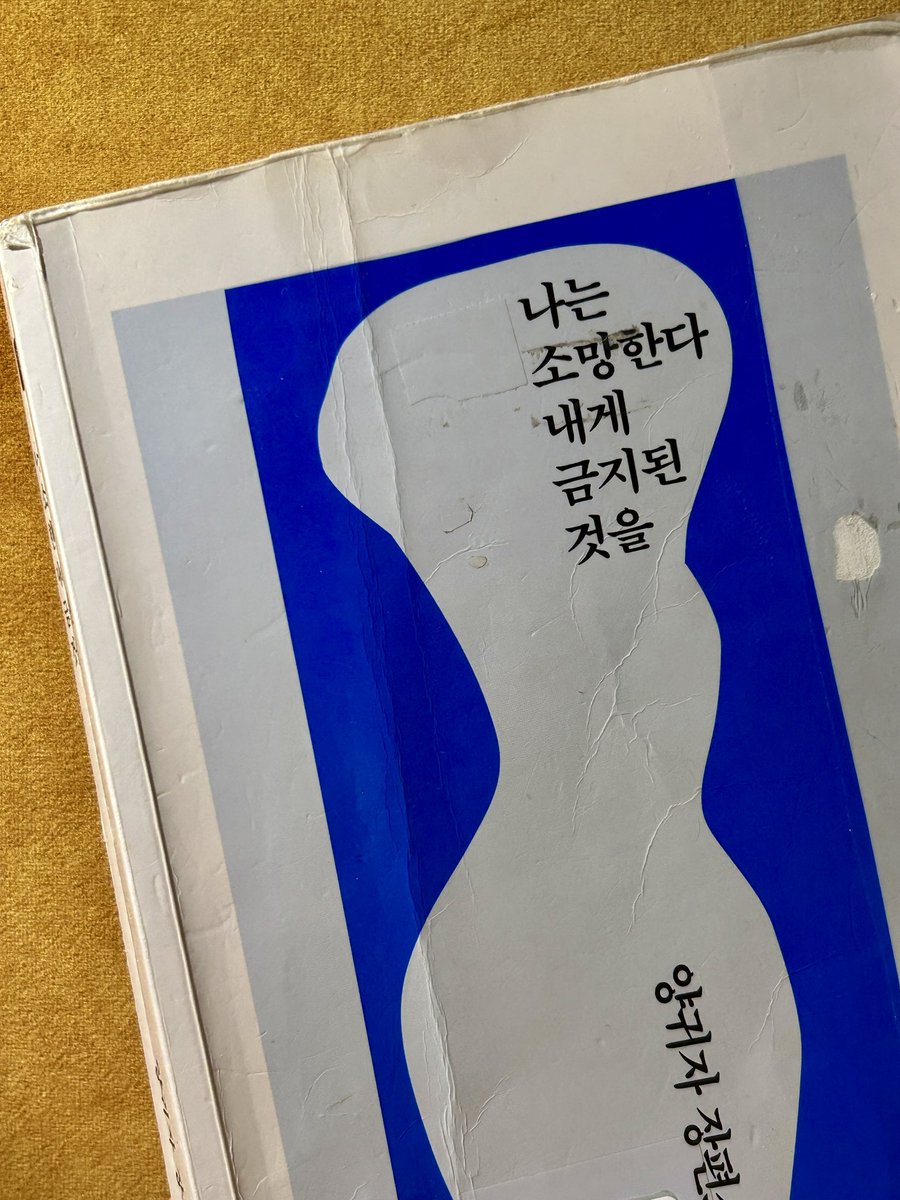 리타 tweet media