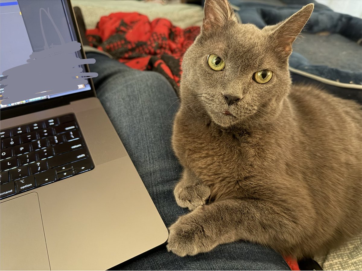 Evanosaurus “Unrawrl Engine 5.7” Rex tweet media