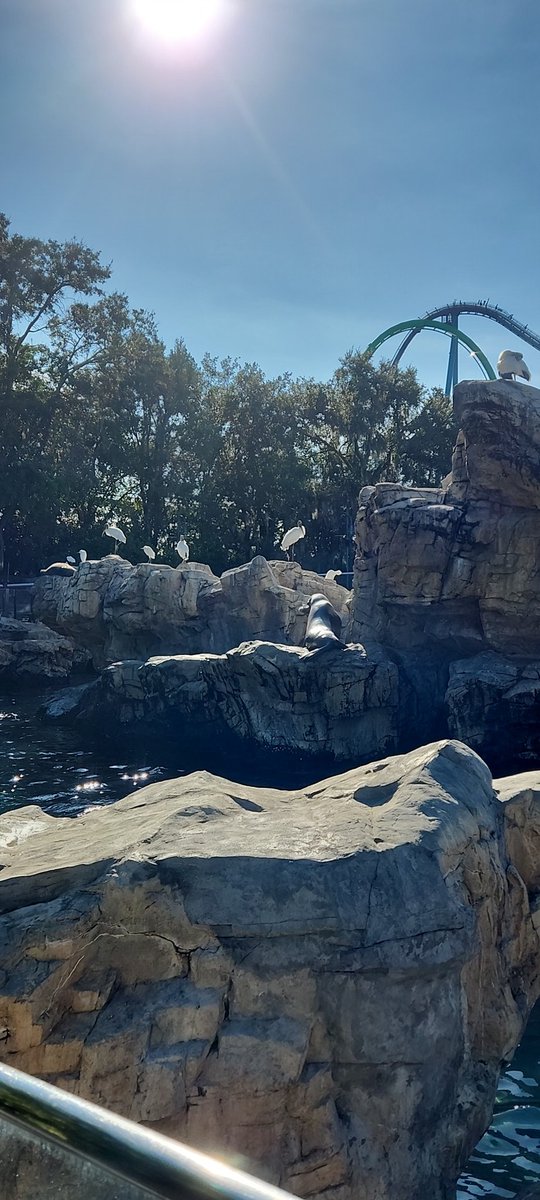 Kermit..... (@hall20742) on Twitter photo 