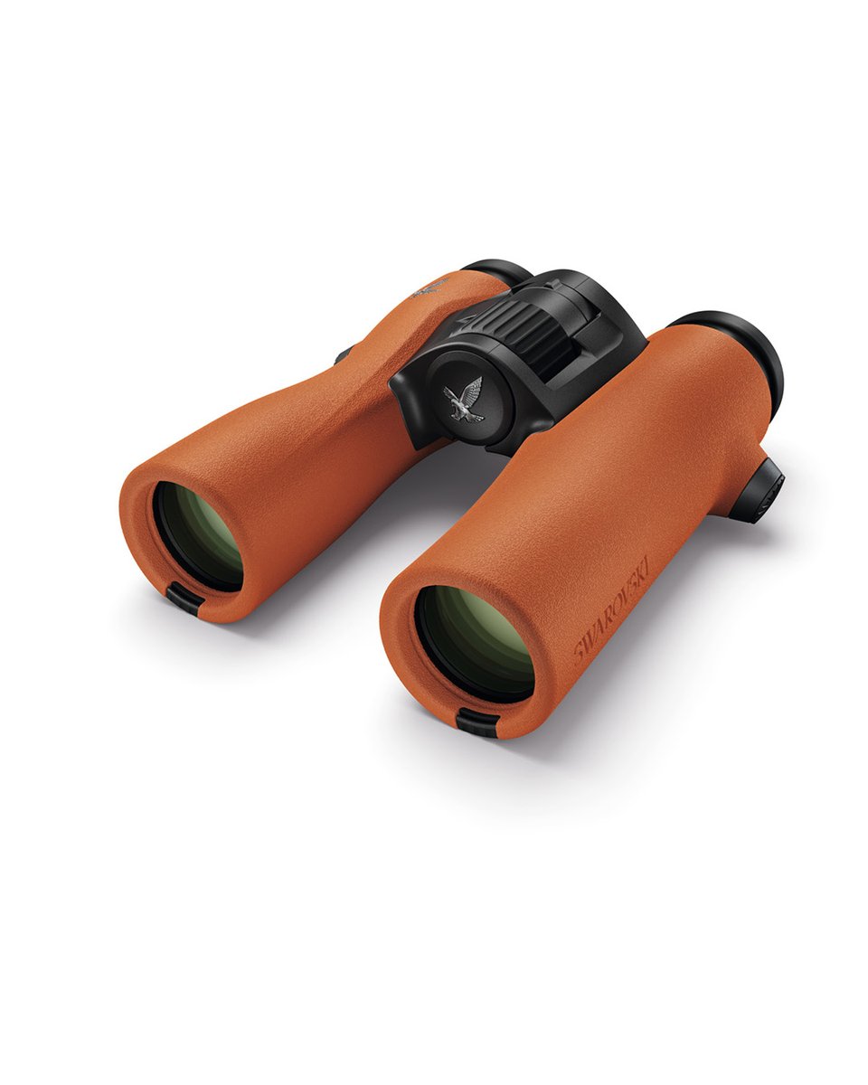 SwarovskiOptik's tweet image. Leander Khil, ornithologist &amp;amp; filmmaker:

“The NL Pure 10x32 is perfect for birding with camera gear – lightweight, compact, and powerful enough to spot details without a scope.”

🧡 Now in #BurntOrange – Become #onewithnature: 🔗 swarop.tk/c6a3c5

#seetheunseen